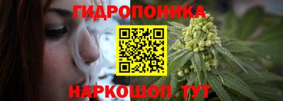 apvp Кунгур
