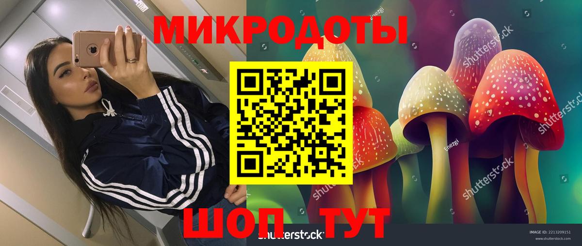 Шелехов  Галлюциногенные грибы GOLDEN TEACHER  Вход с VPN 